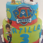 pawpatrol